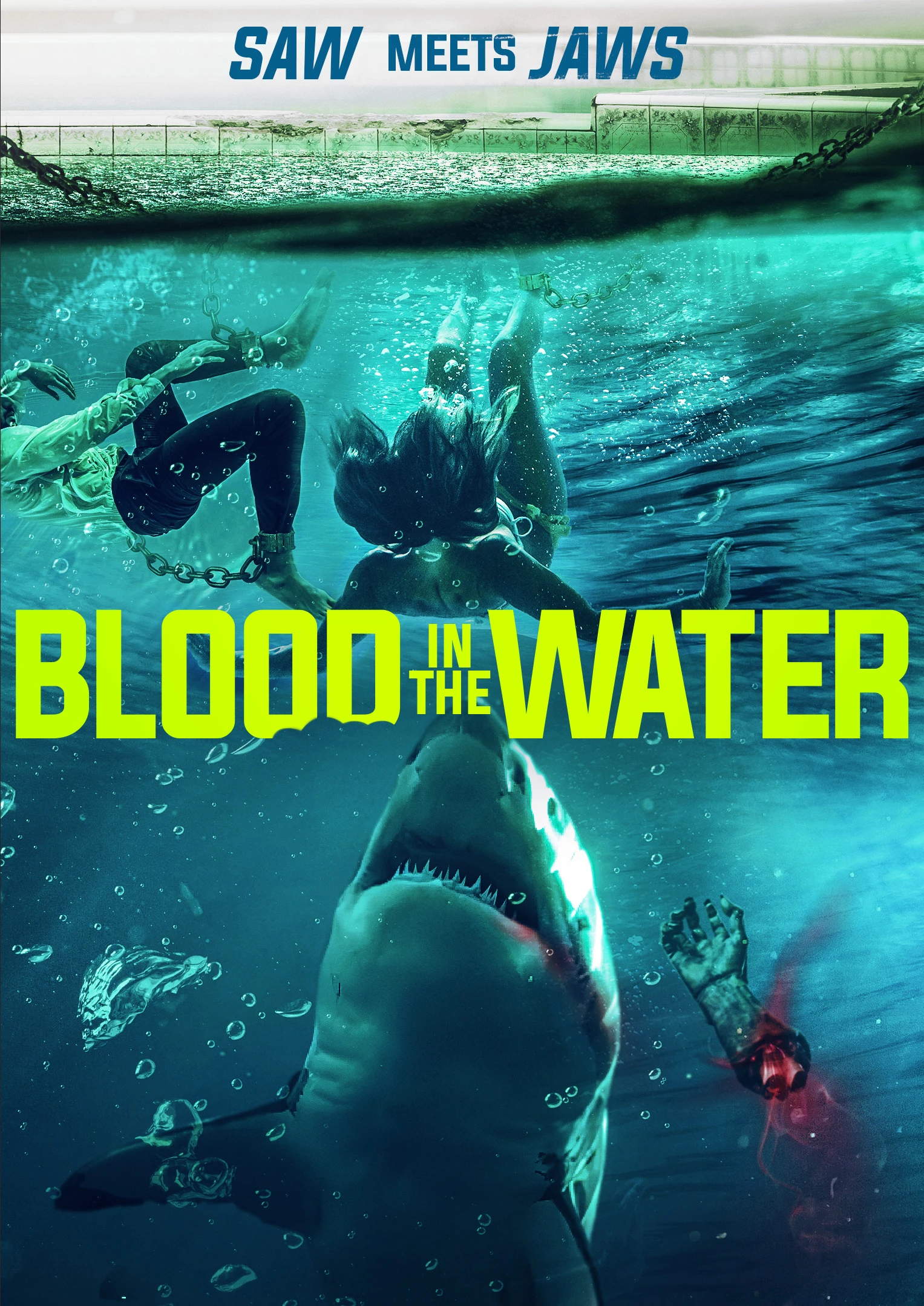 Cá Mập Dưới Nước | Blood in the Water (2022) Cá Mập Dưới Nước | Blood in the Water (2022)