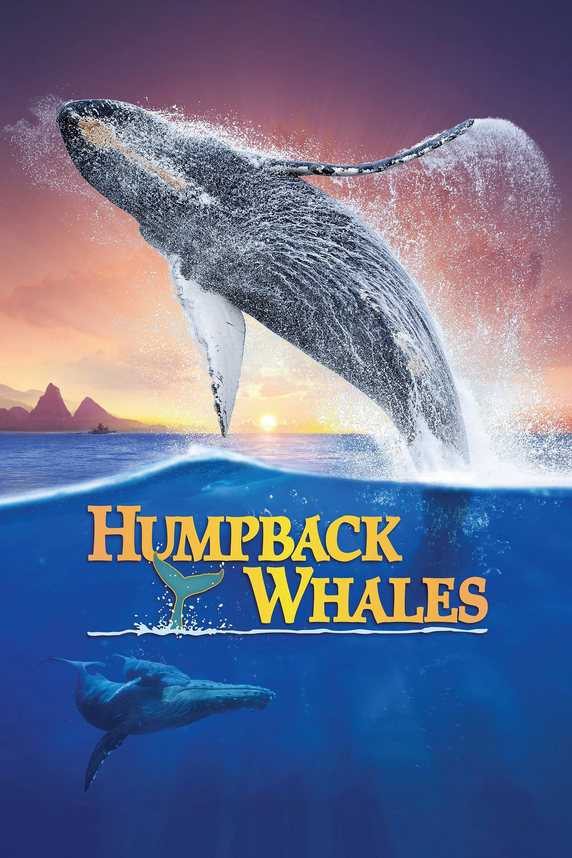 Cá Voi Lưng Gù | Humpback Whales (2015) Cá Voi Lưng Gù | Humpback Whales (2015)