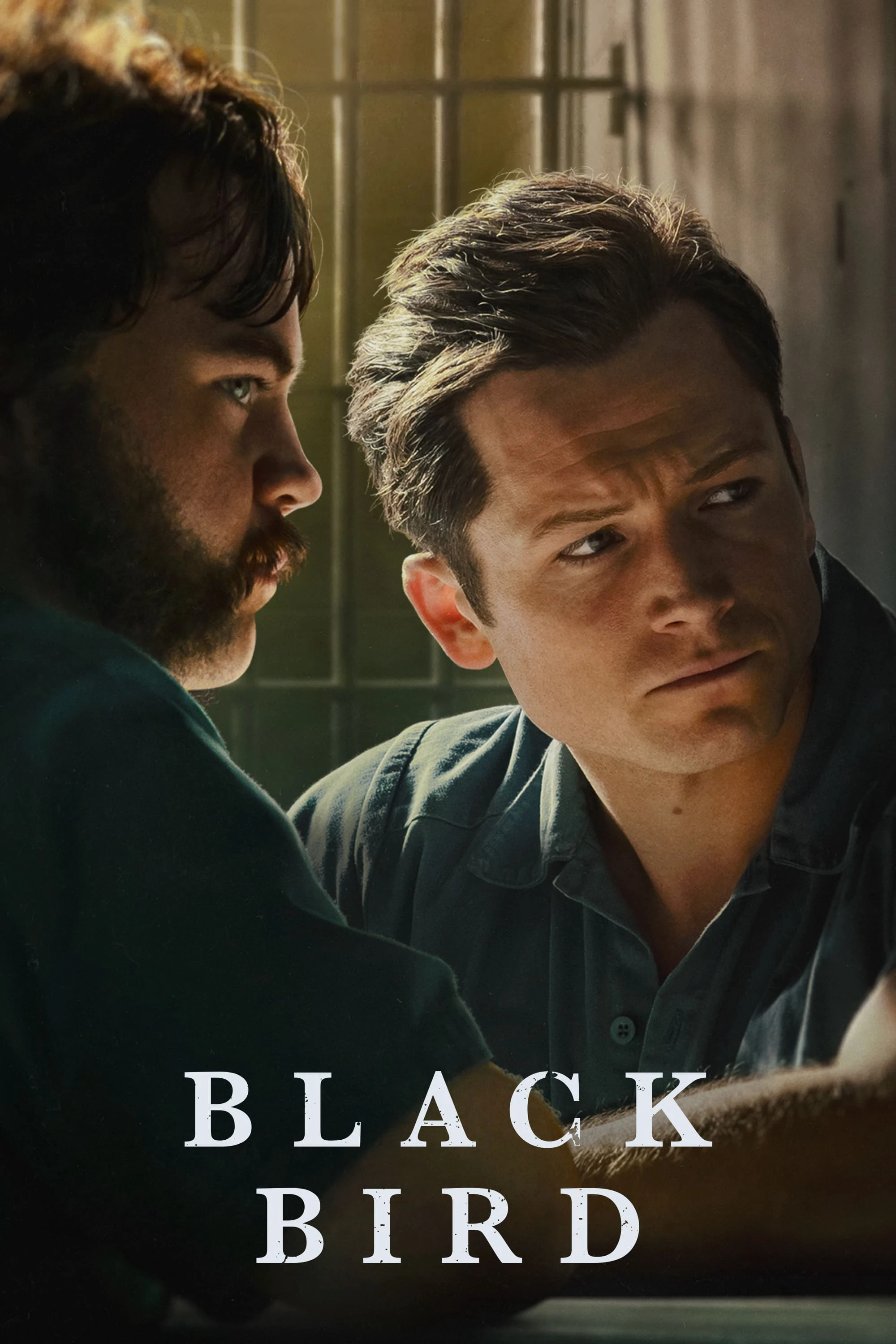 Hắc Điểu (Phần 1) | Black Bird (Season 1) (2022) Hắc Điểu (Phần 1) | Black Bird (Season 1) (2022)