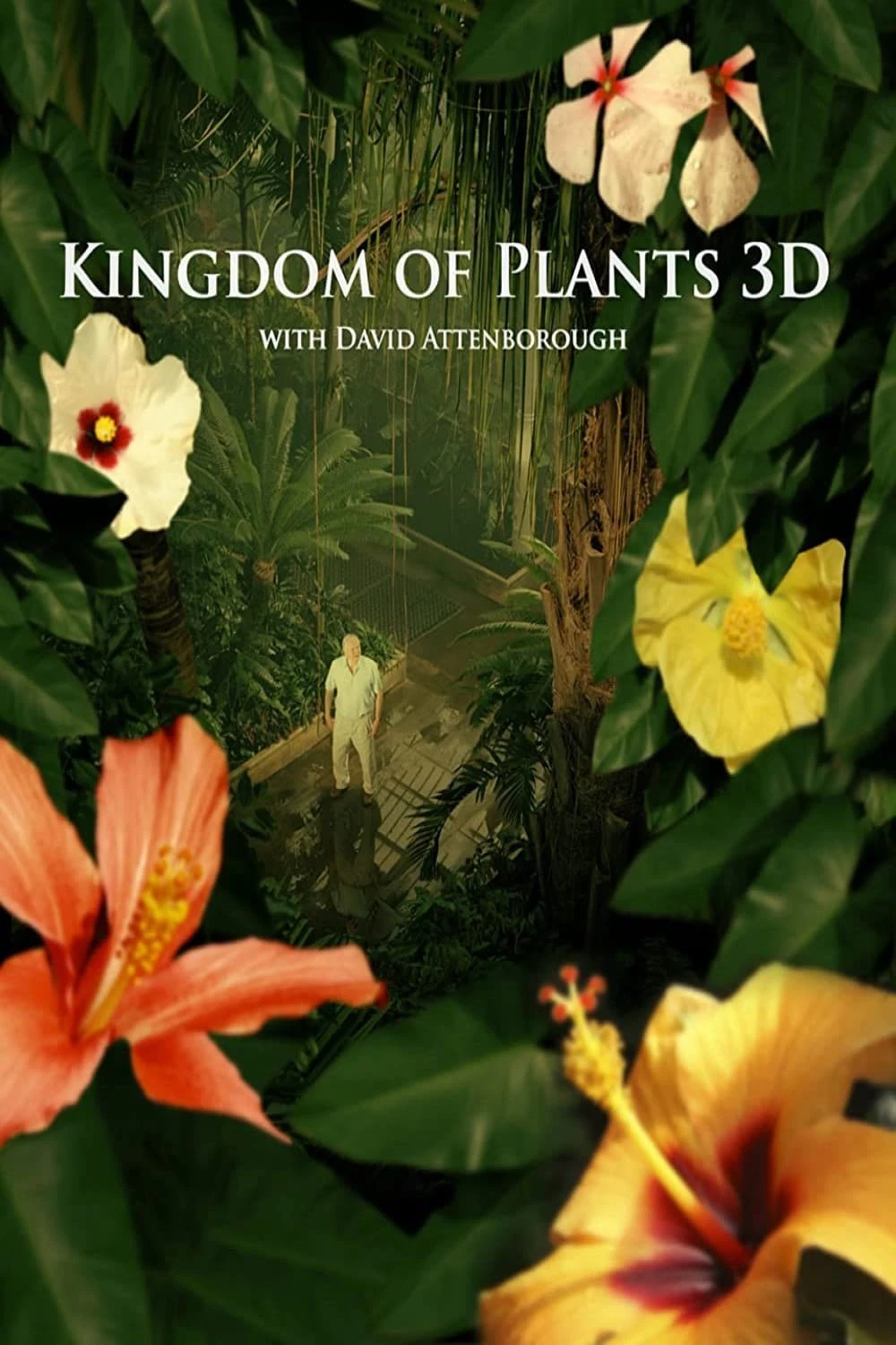 Kingdom of Plants | Kingdom of Plants (2012) Kingdom of Plants | Kingdom of Plants (2012)