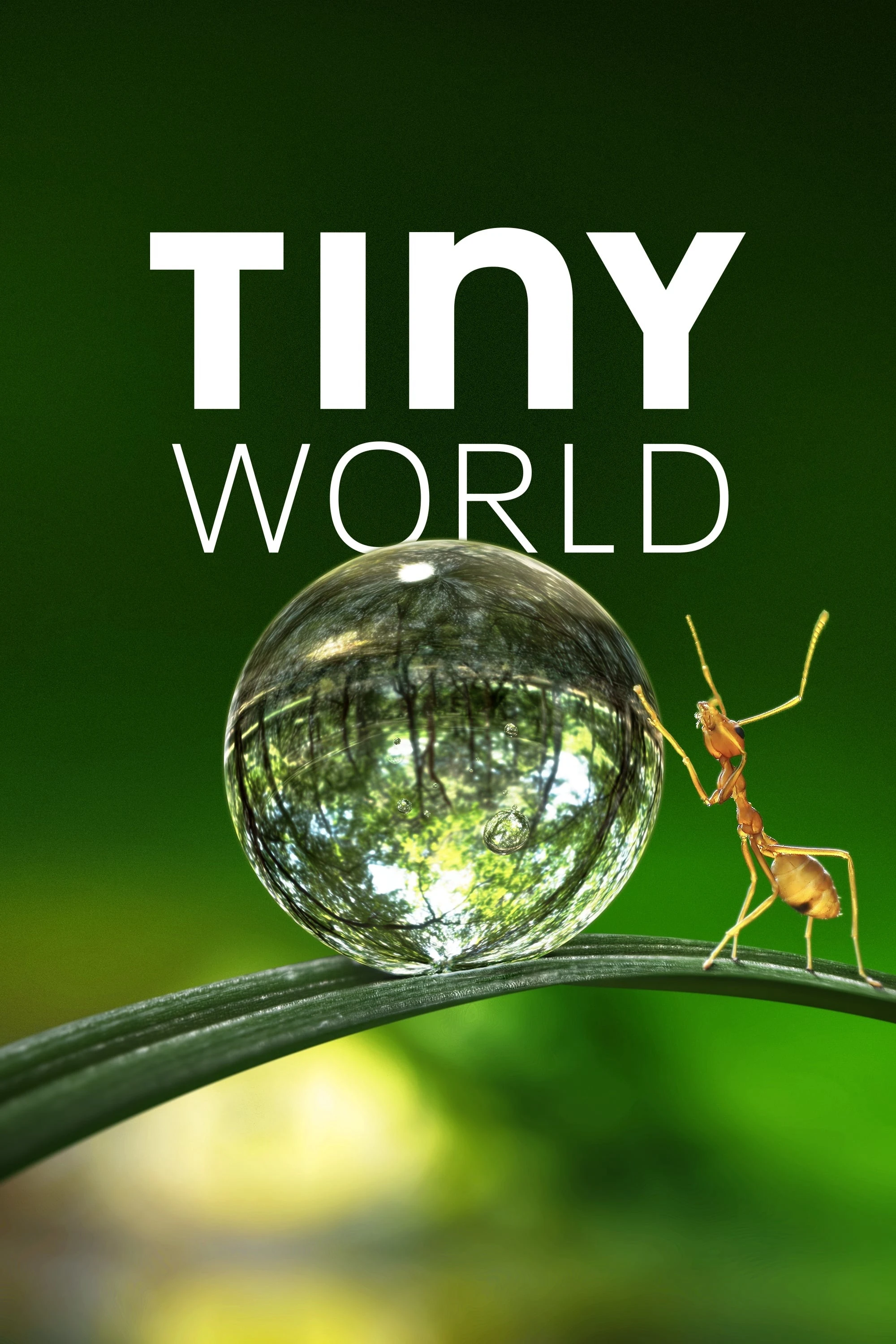 Thế Giới Siêu Nhỏ (Phần 1) | Tiny World (Season 1) (2020) Thế Giới Siêu Nhỏ (Phần 1) | Tiny World (Season 1) (2020)